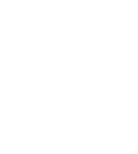 Nipo Armas