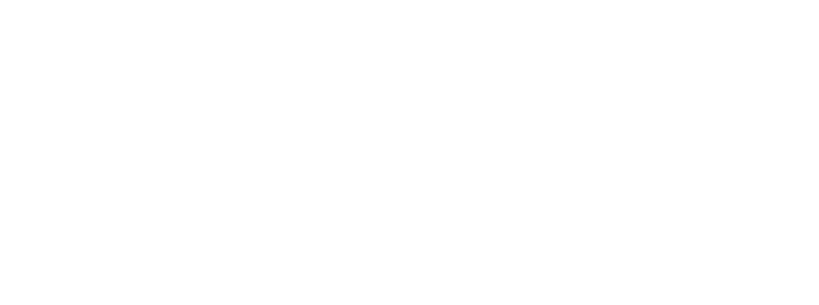 Festa do Peão Americana
